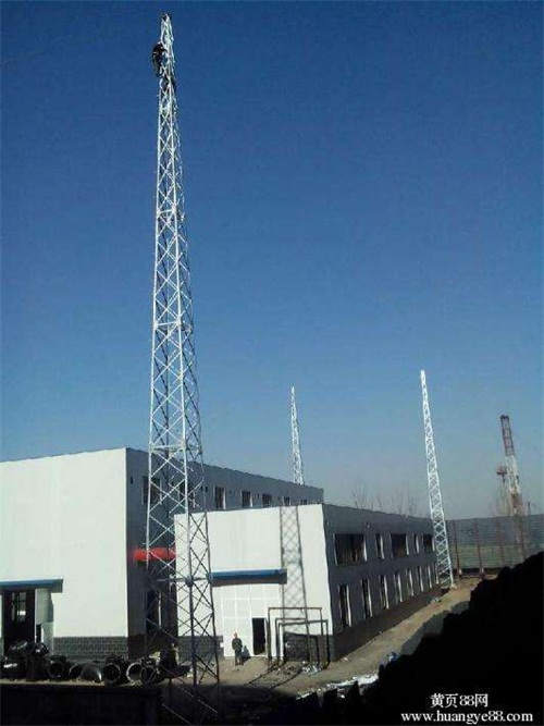 北京20米鋼結(jié)構(gòu)避雷針?biāo)S家